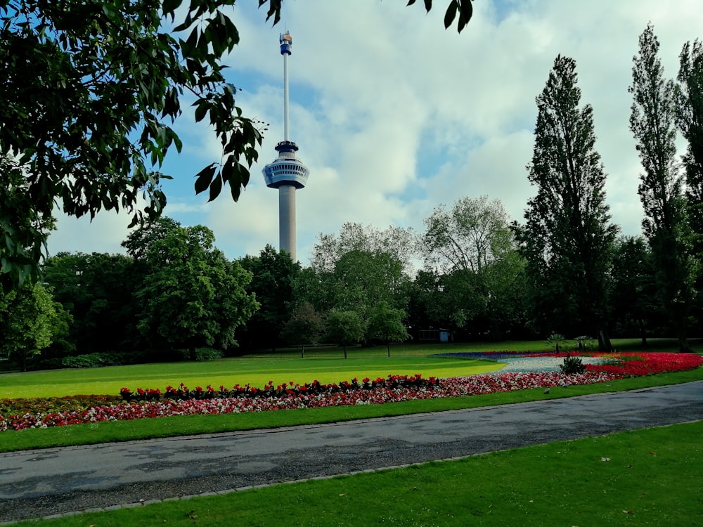 Hillegersberg, Rotterdam