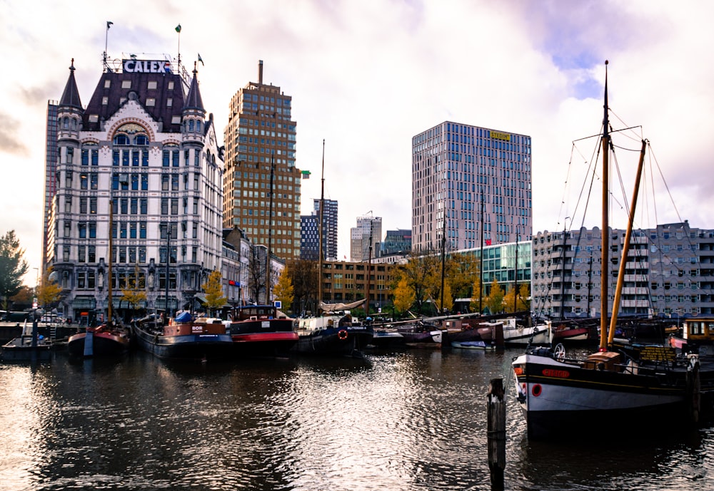 Perfekt weekend i Rotterdam (2–3 dagar)