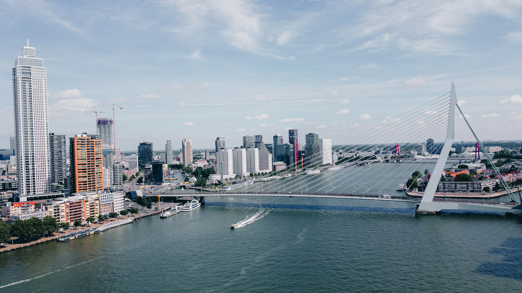 Rotterdams skyline med Erasmusbron över floden Maas