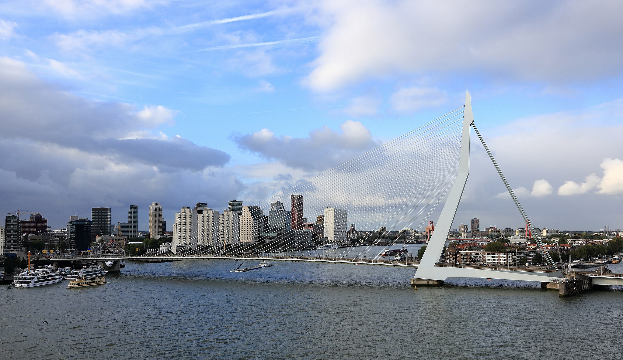 Erasmus Bridge